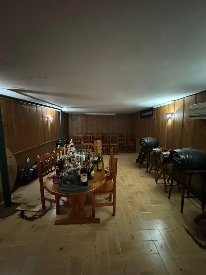 Gewerbefläche zum Verkauf in Castilblanco de los Arroyos, imagen 47