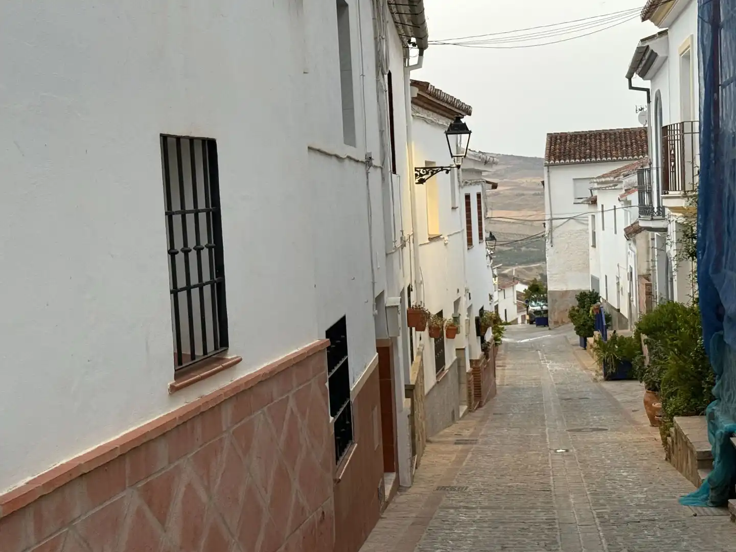 Vista exterior de Finca rústica en venta en Ardales