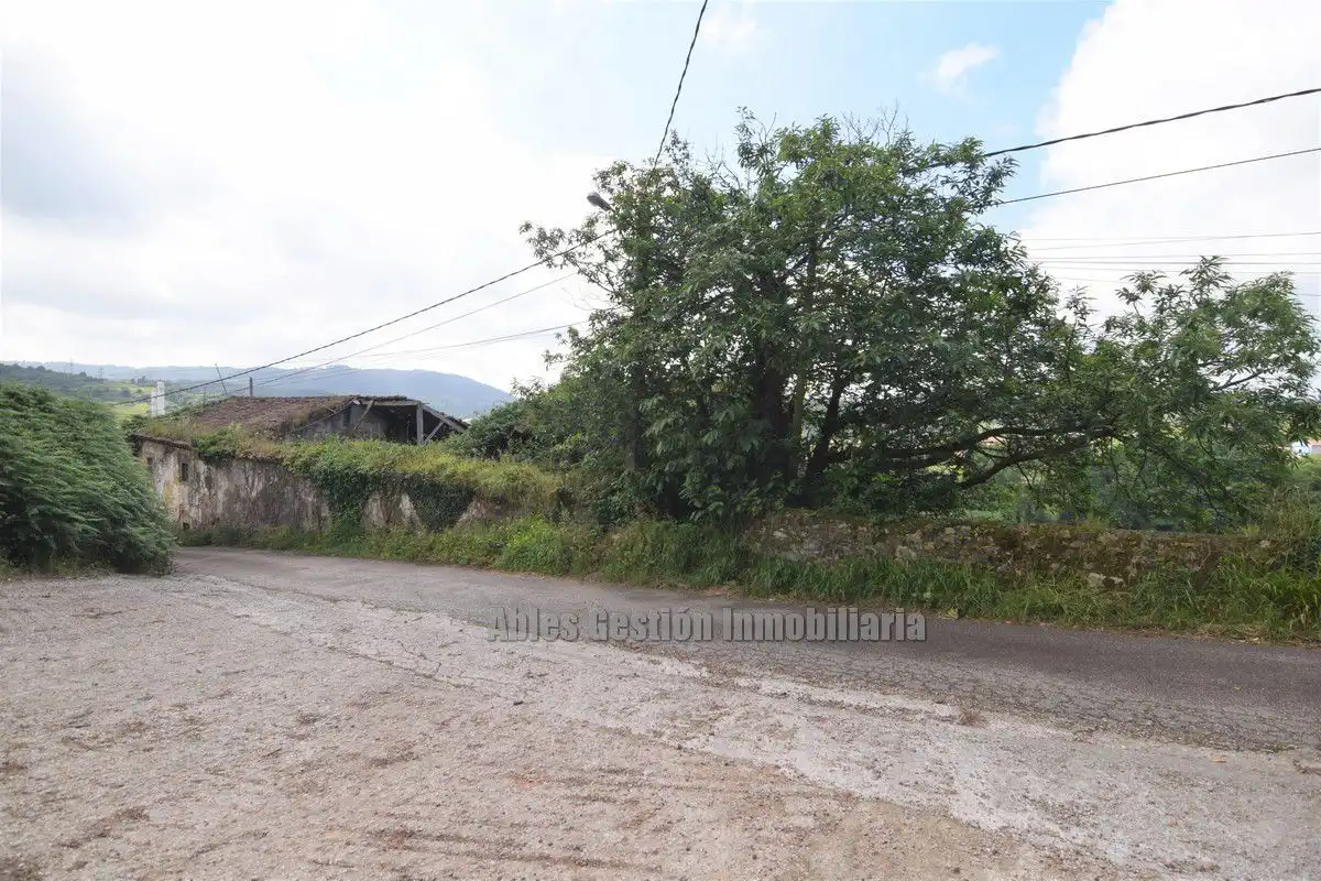 Finca rústica en venta en Carreño