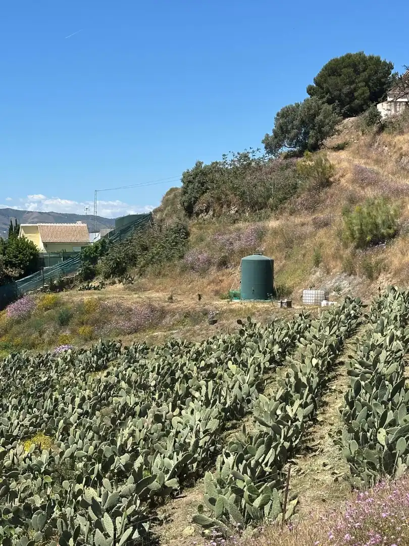 Terreni e lotti in vendita a Vélez-Málaga ciudad, imagen 6