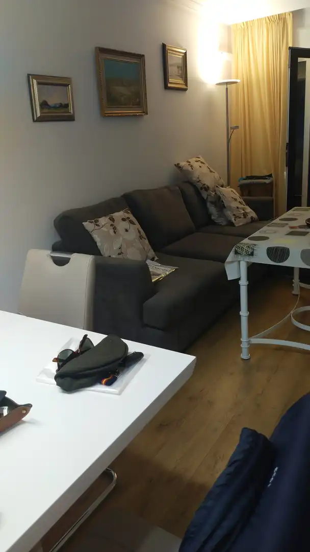 Flat with terrace to rent in Plaza Sol Playa 1, imagen 6