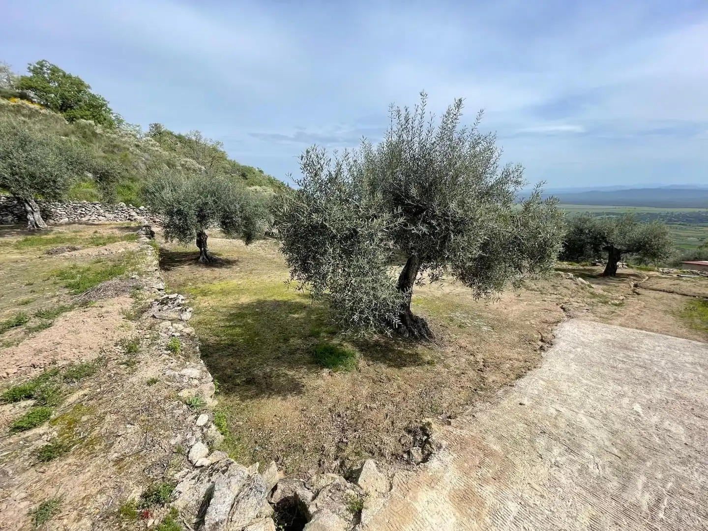 Terreni e lotti in vendita a Montánchez, imagen 20