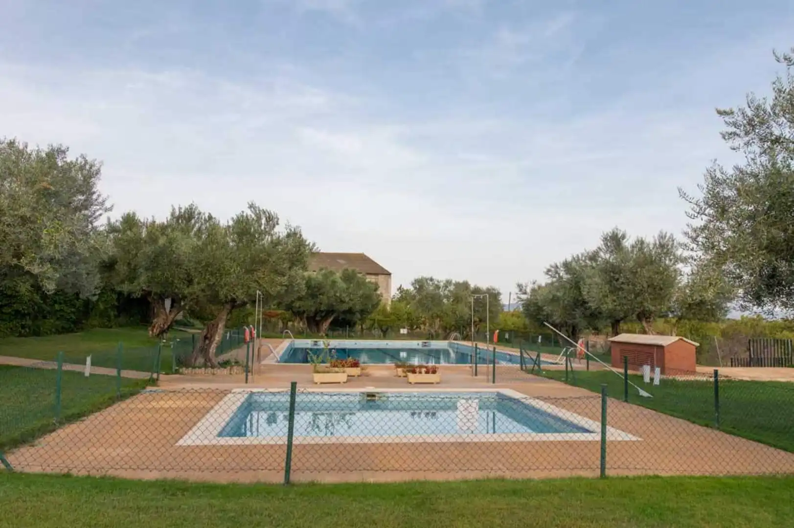 Swimming pool of Country homes for sale in Salas Altas