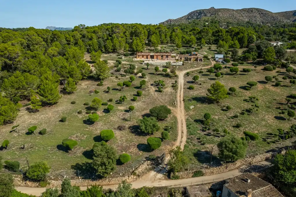 Terreno rustico in vendita a Ciutat d'Alcúdia, imagen 2
