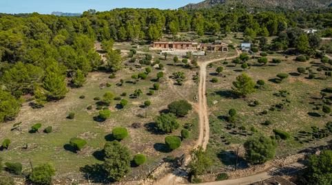 Photo 2 of Land for sale in Bacarés - Manresa  - Bonaire, Illes Balears