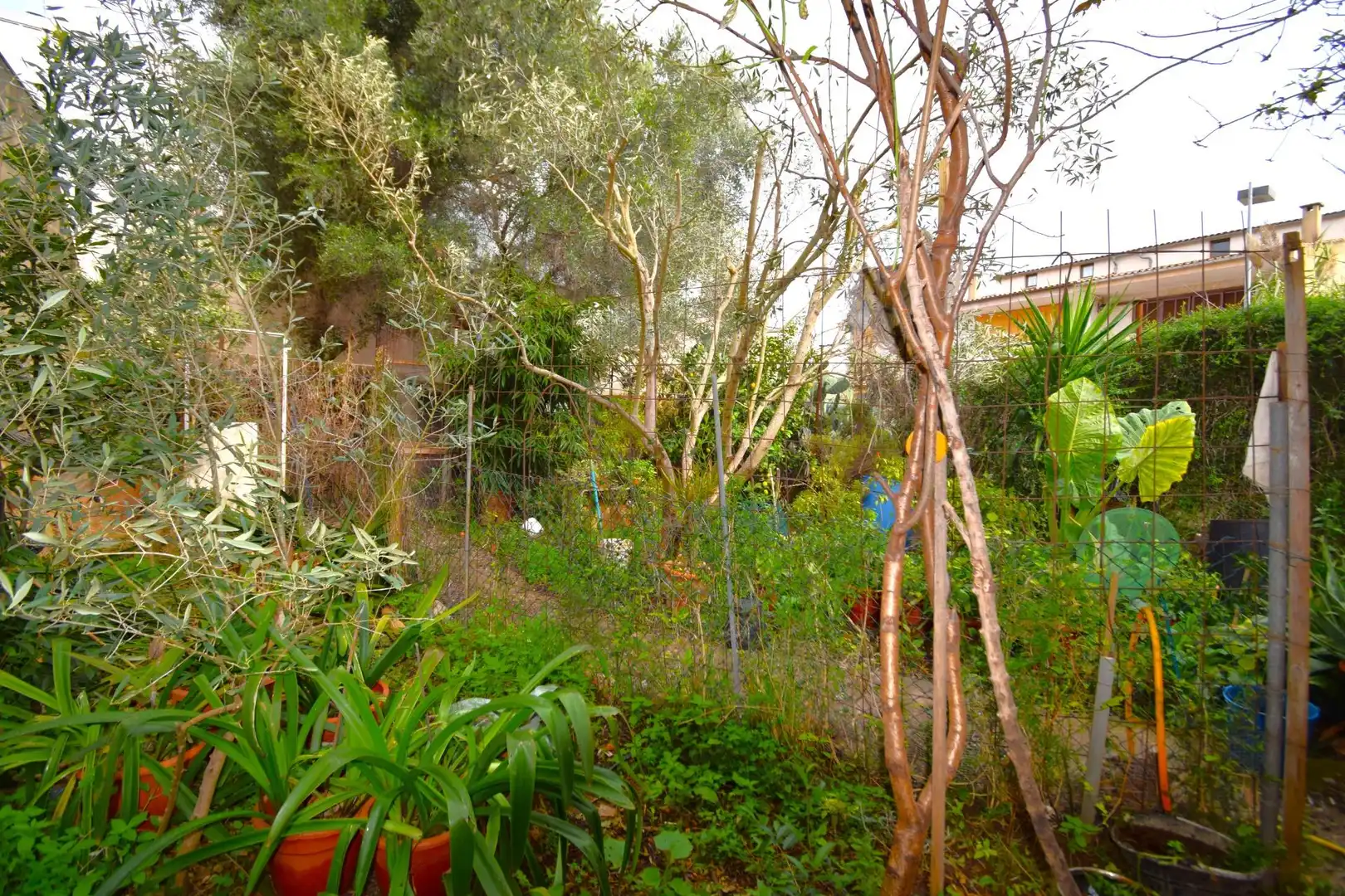 Lands and plots for sale in Carrer del Bisbe Miquel Moncadas, imagen 6