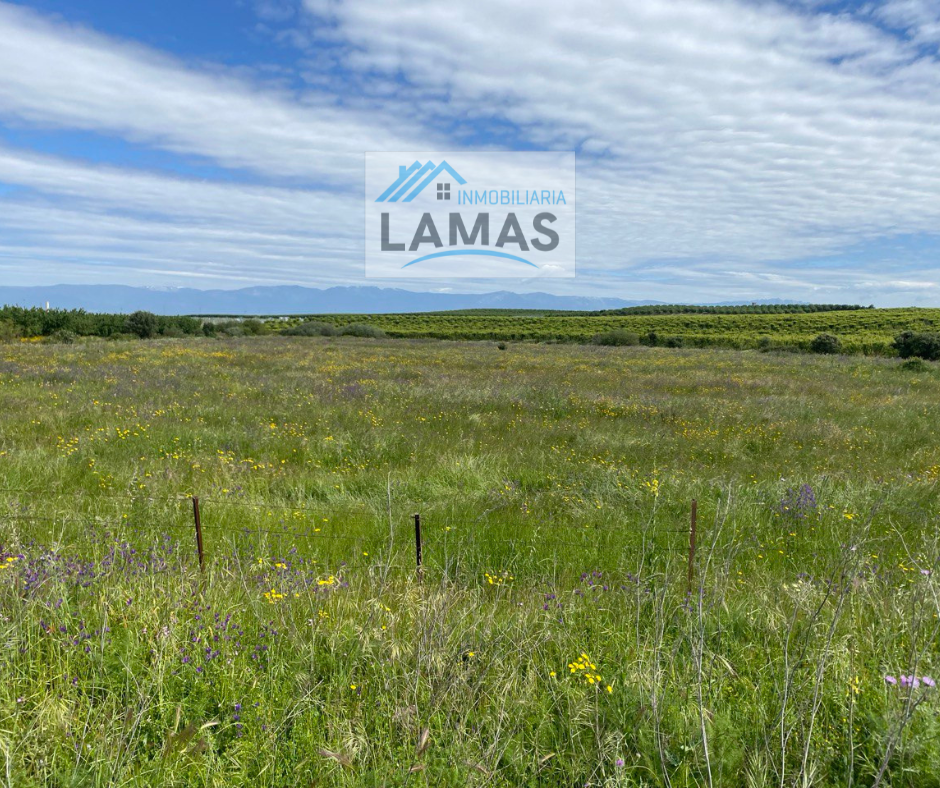 Land for sale in Belvís de Monroy