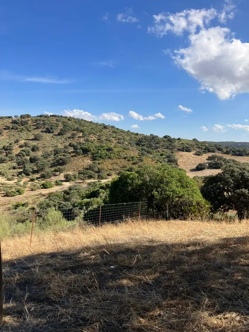 Casa o chalet en venta en La Puebla de Cazalla con Jardín privado y Alarma