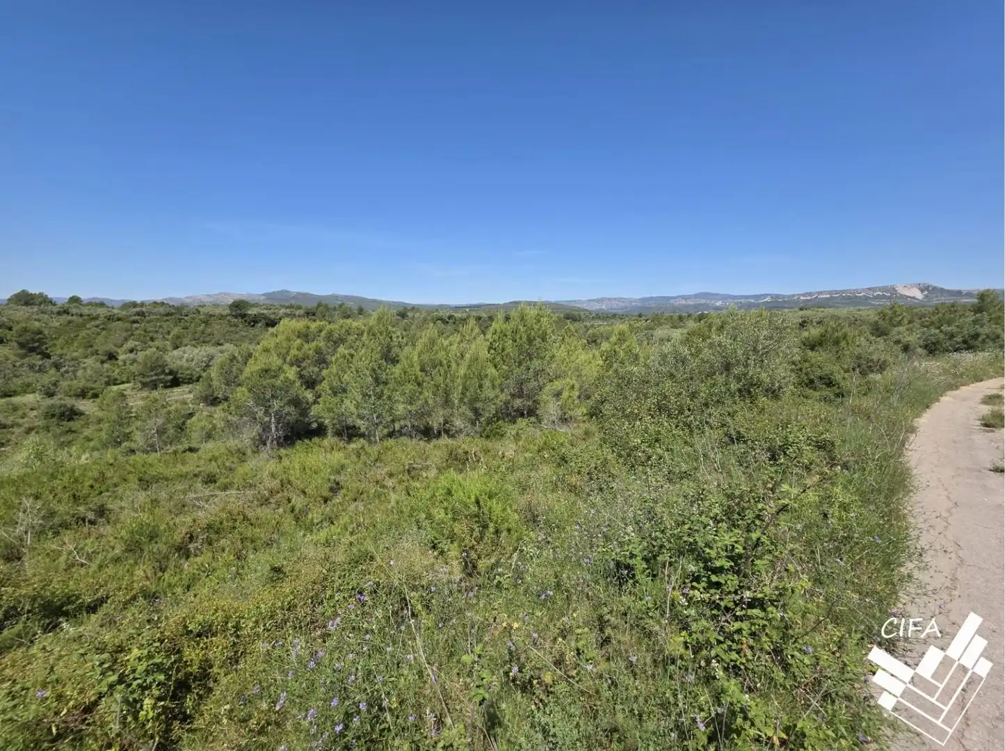 Terrain rustique à vendre à Polígono Sant Mateu, imagen 6