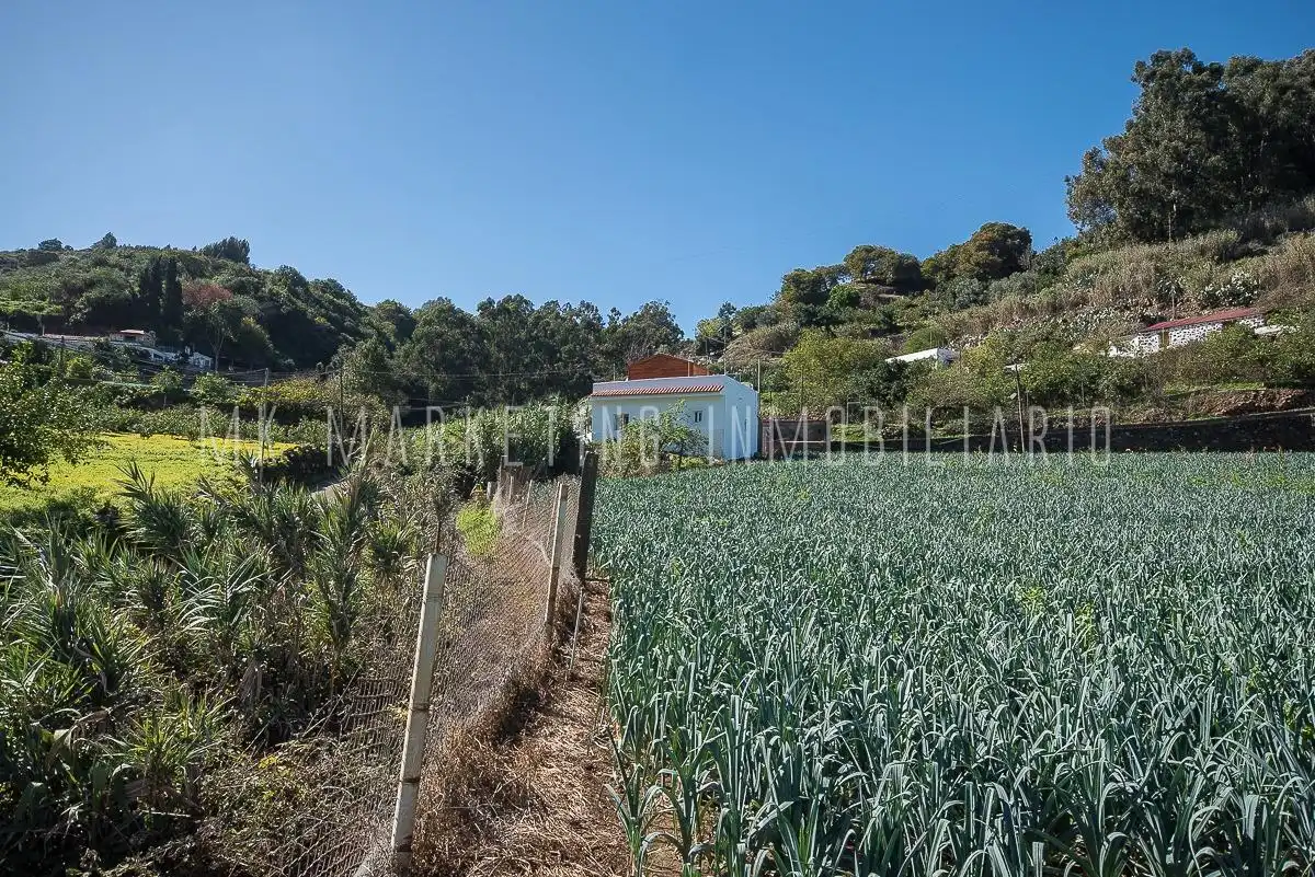 Casa o chalet en venta en Moya (Las Palmas) con Jardín privado, Terraza y Trastero