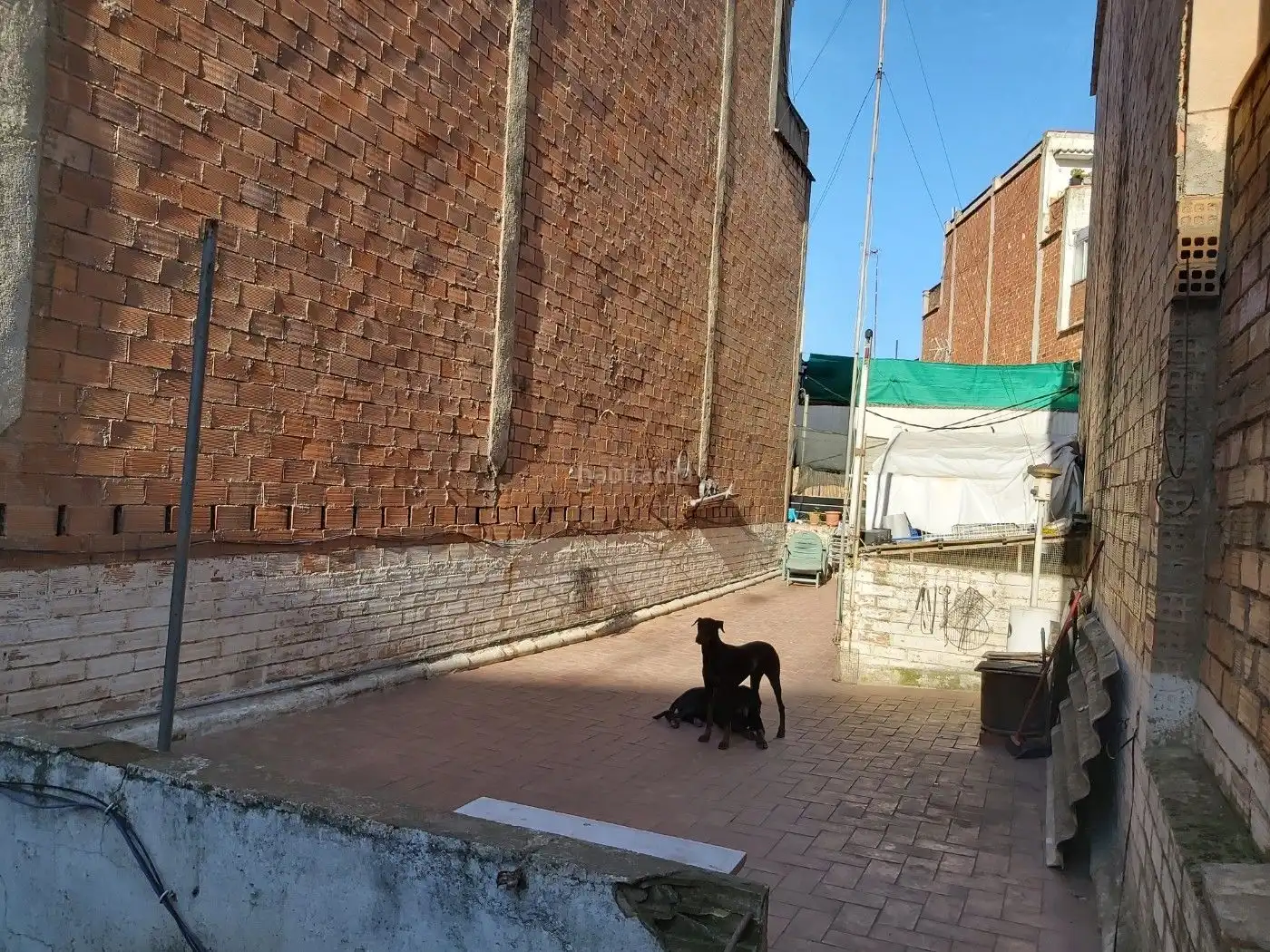 Casa amb jardí en venda a Carrer l'Alcalde de Zalamea 16