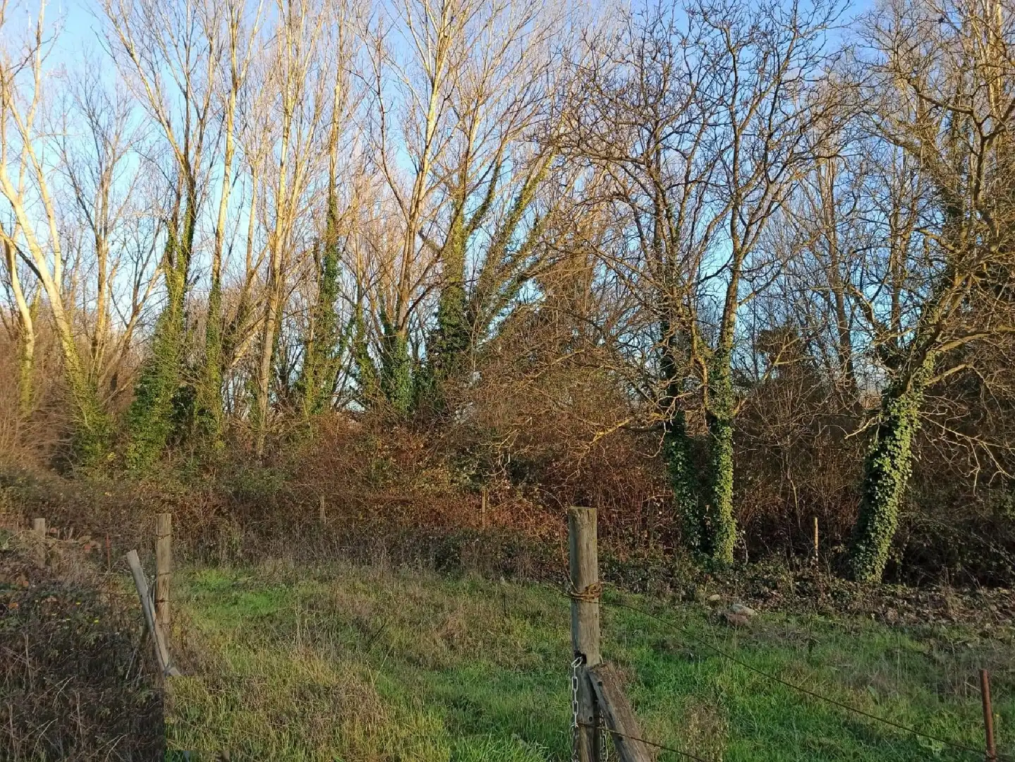 Terreny rústic en venda a Nájera, imagen 3
