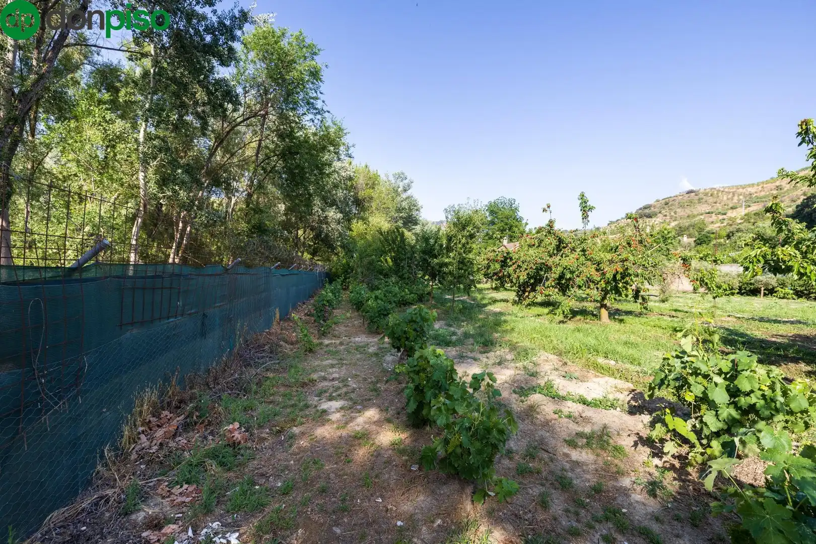 Terreno en venta en Paseo Paseo Duquesa, Pinos Genil
