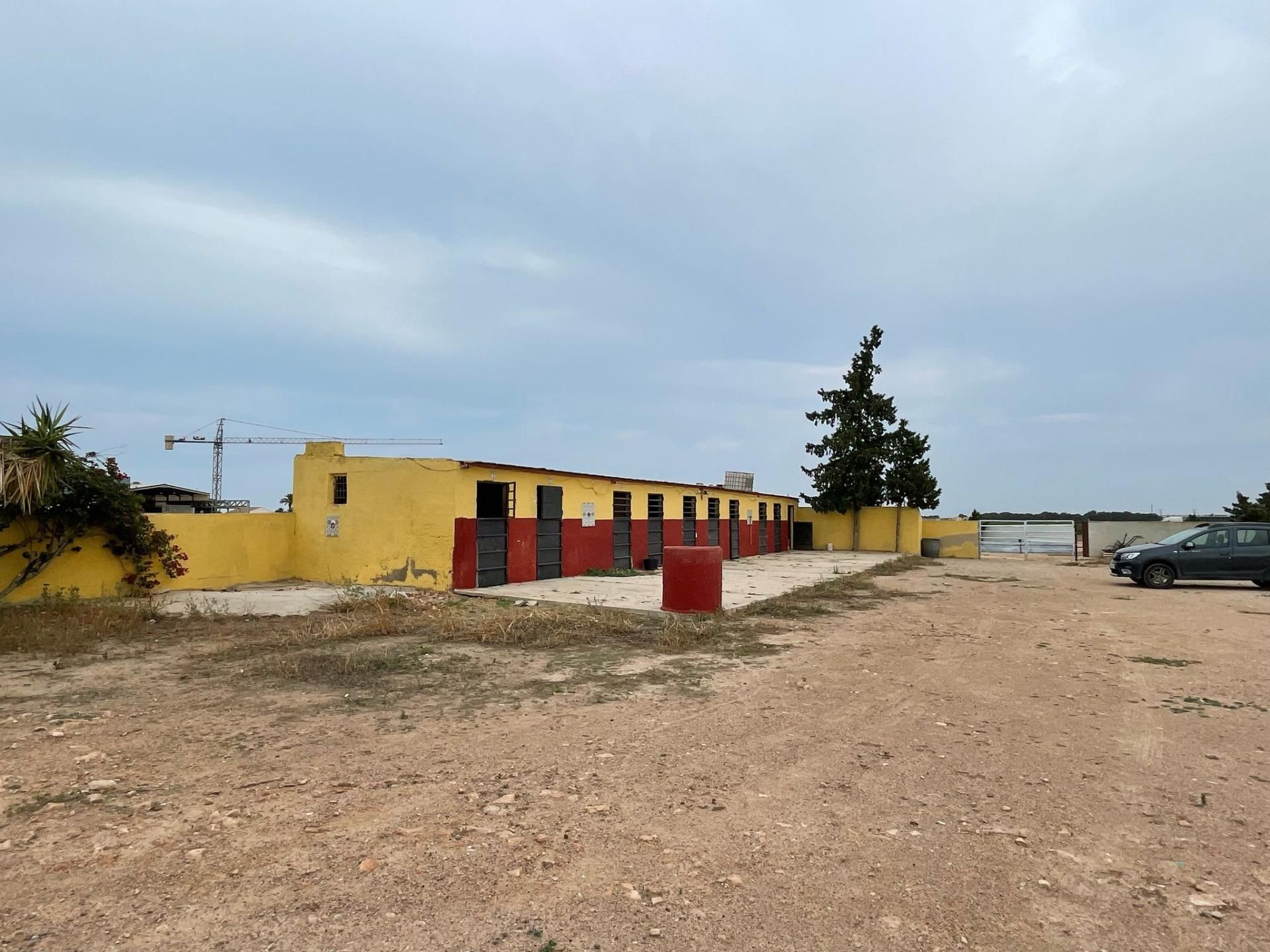 Exterior view of House or chalet for sale in  Murcia Capital