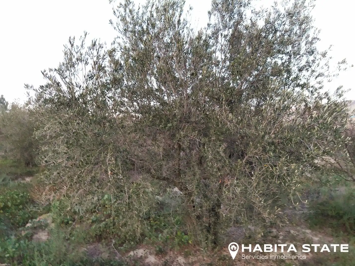 Grundstücke zum Verkauf in Alhabia