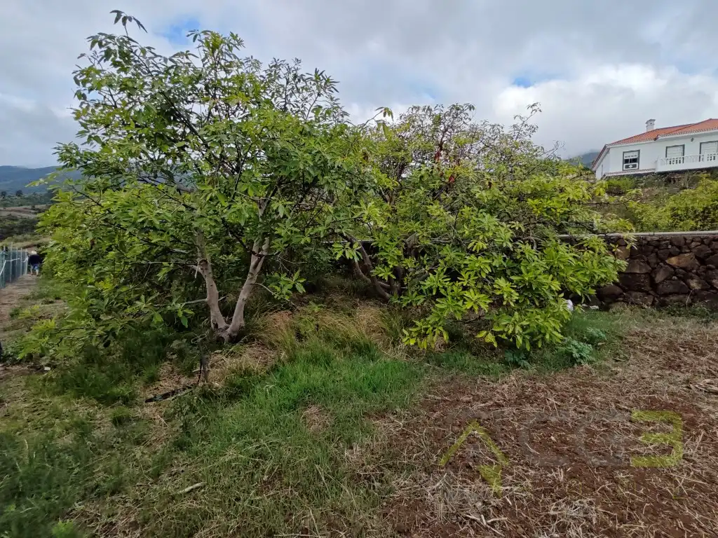 Casa o chalet en venta en Breña Alta