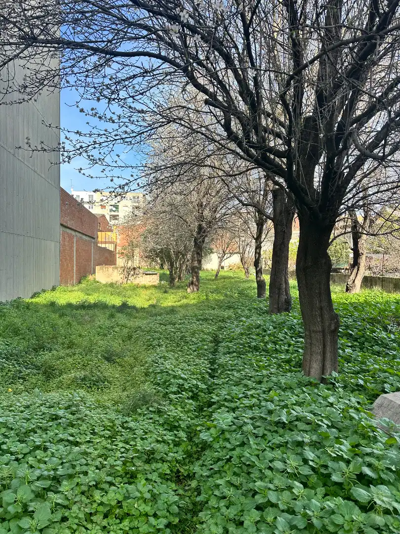 Terreno residencial en venta en Carrer Torras i Bages, imagen 4