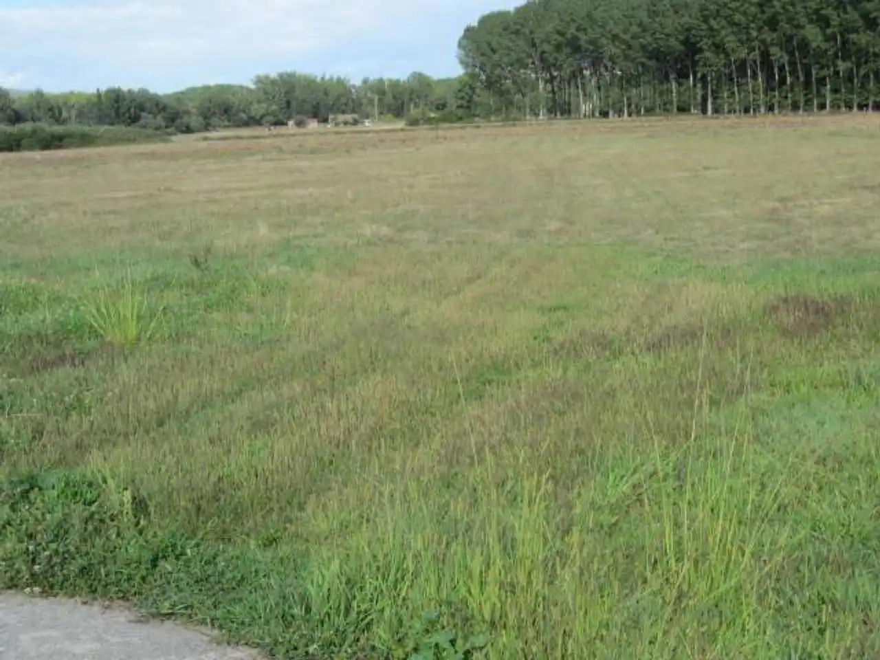 Terreno residencial en venta en Poligono 15, imagen 9