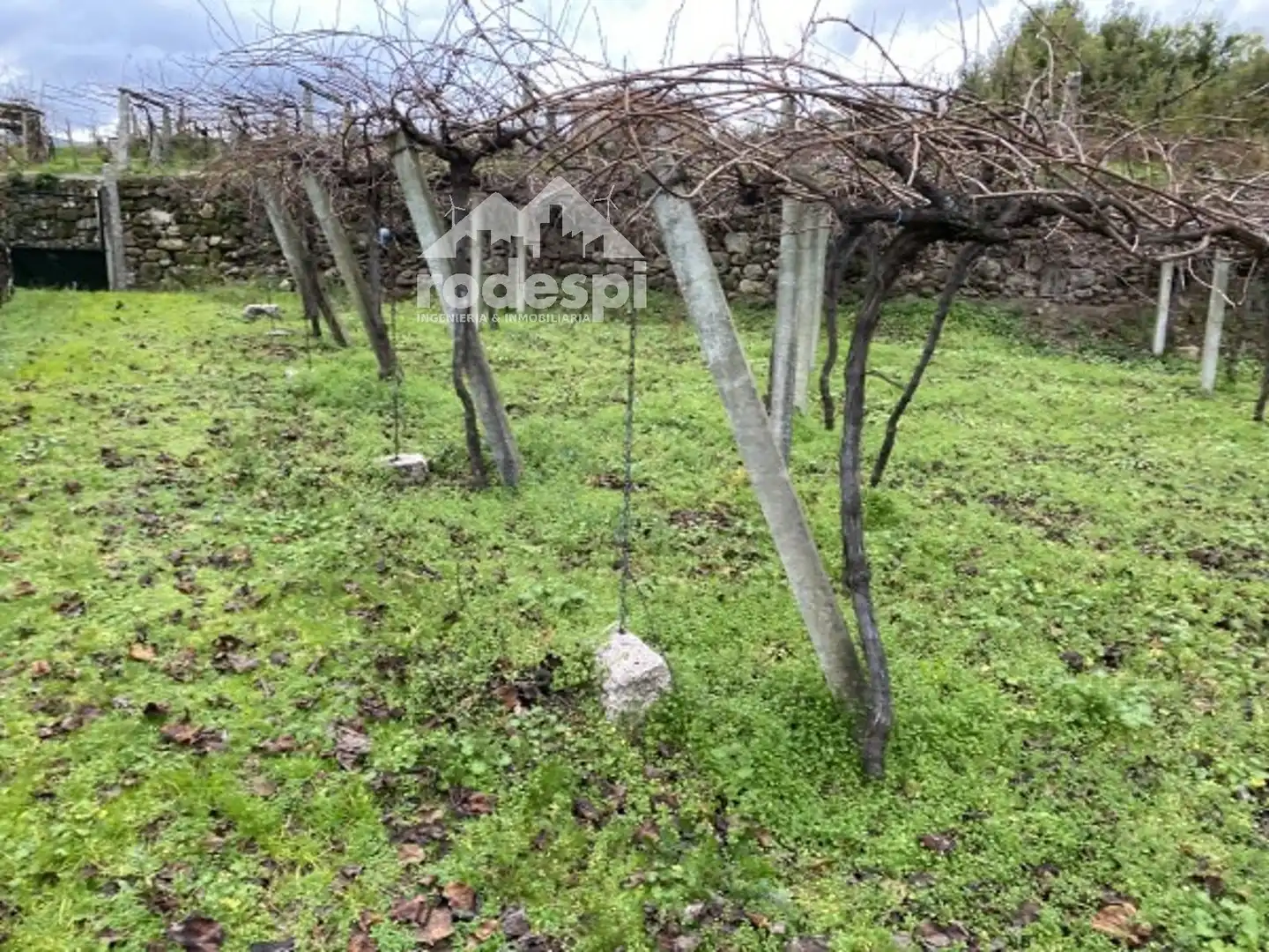 Terreny rústic en venda a A Cañiza, imagen 20