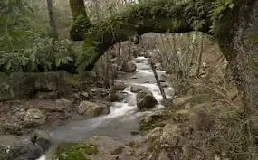 Vista exterior de Casa o xalet en venda en Tarifa amb Jardí privat, Moblat i TV