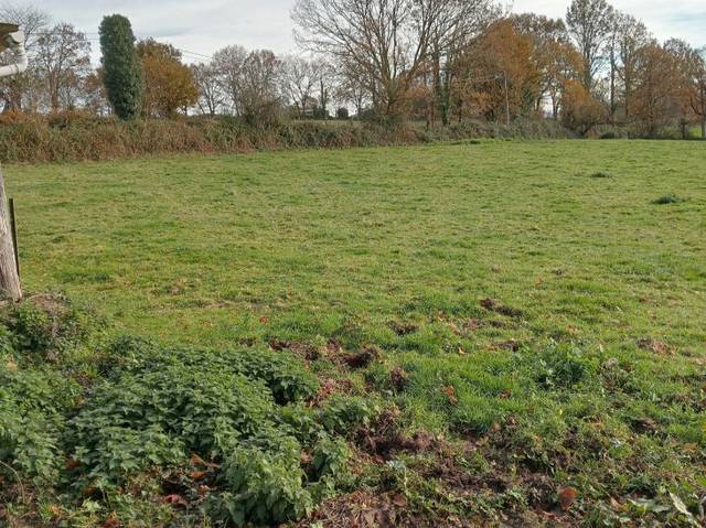 Terreno en Alquiler en Camino Real, 1 en Parroquias Norte