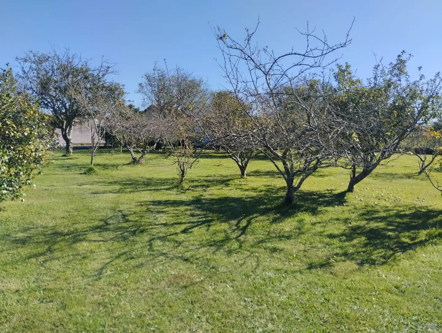 Chalet en venta en O Feal - Xubia, imagen 41