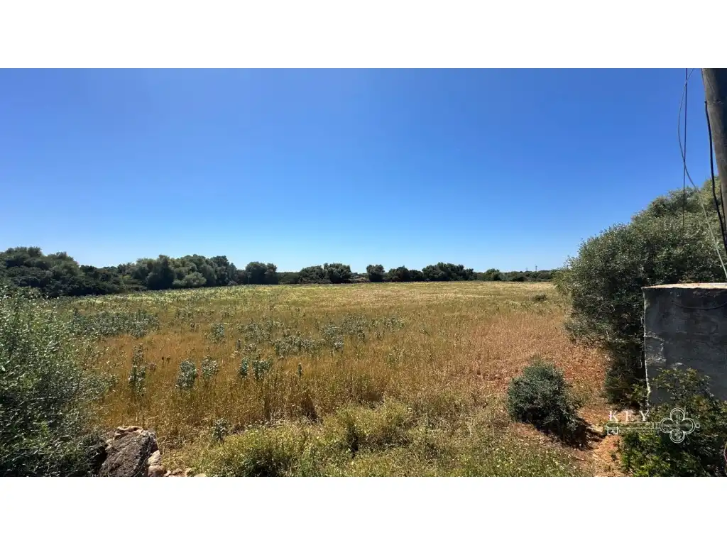 Casa rústica con jardín en venta en Cala d'en Bosch - Serpentona, imagen 28