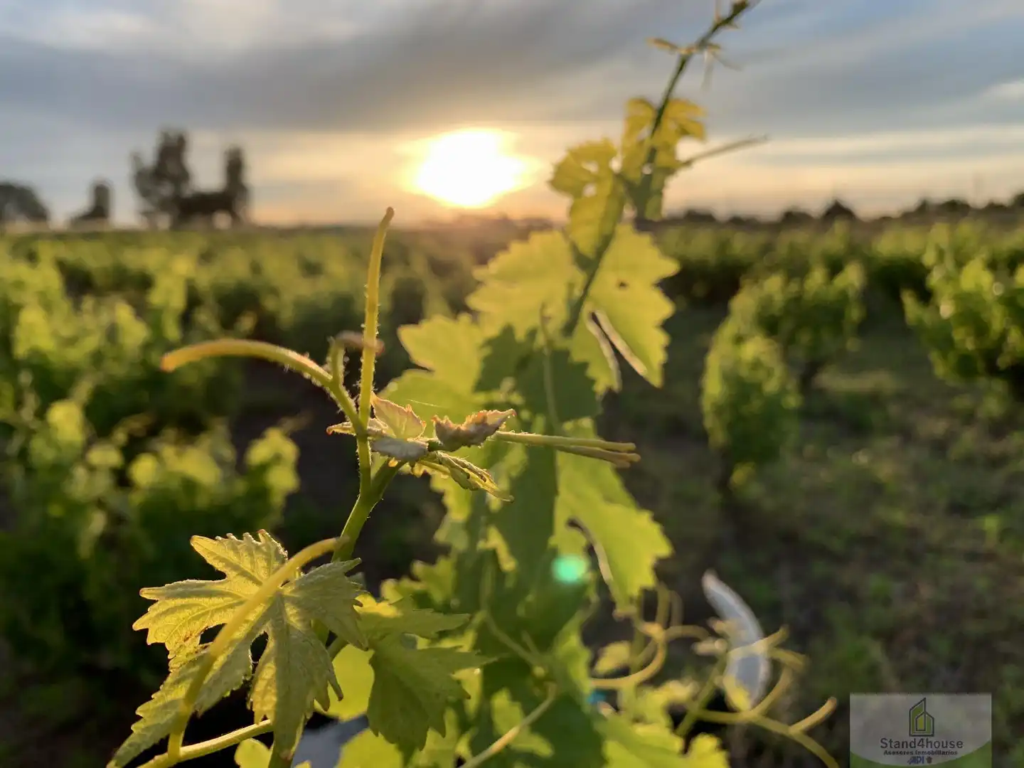 Vista exterior de Finca rústica en venda en Rociana del Condado amb Terrassa i Traster