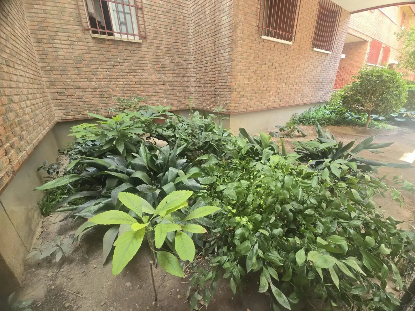 Garden of Apartments for sale in Centro