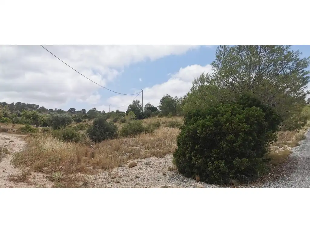 Terrain rustique à vendre à Poligono 7 Paraje 94 Umbria, imagen 6