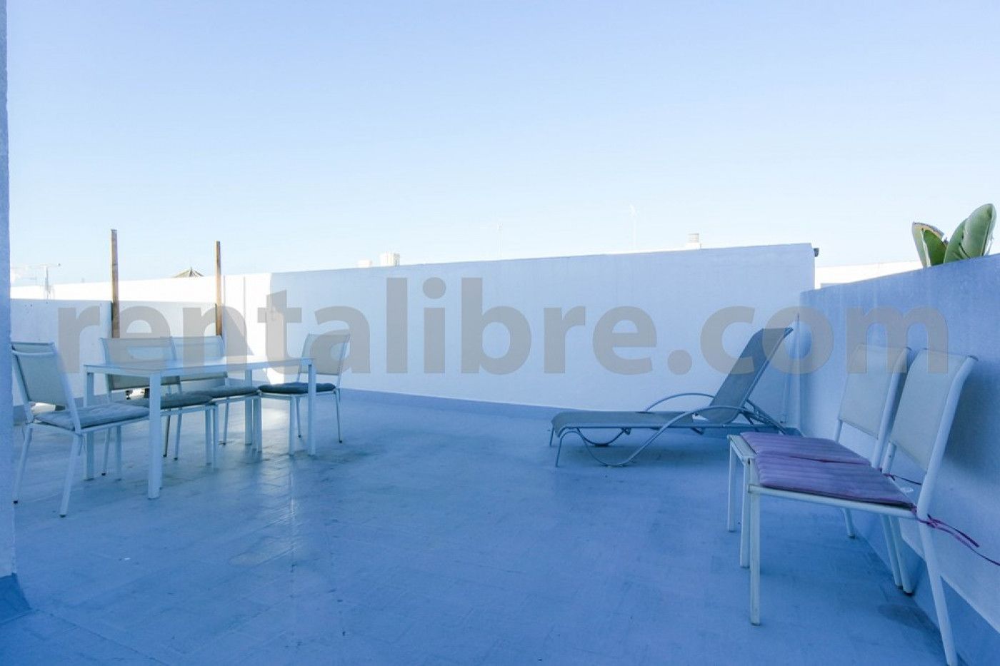 Terraza de Ático de alquiler en Jerez de la Frontera