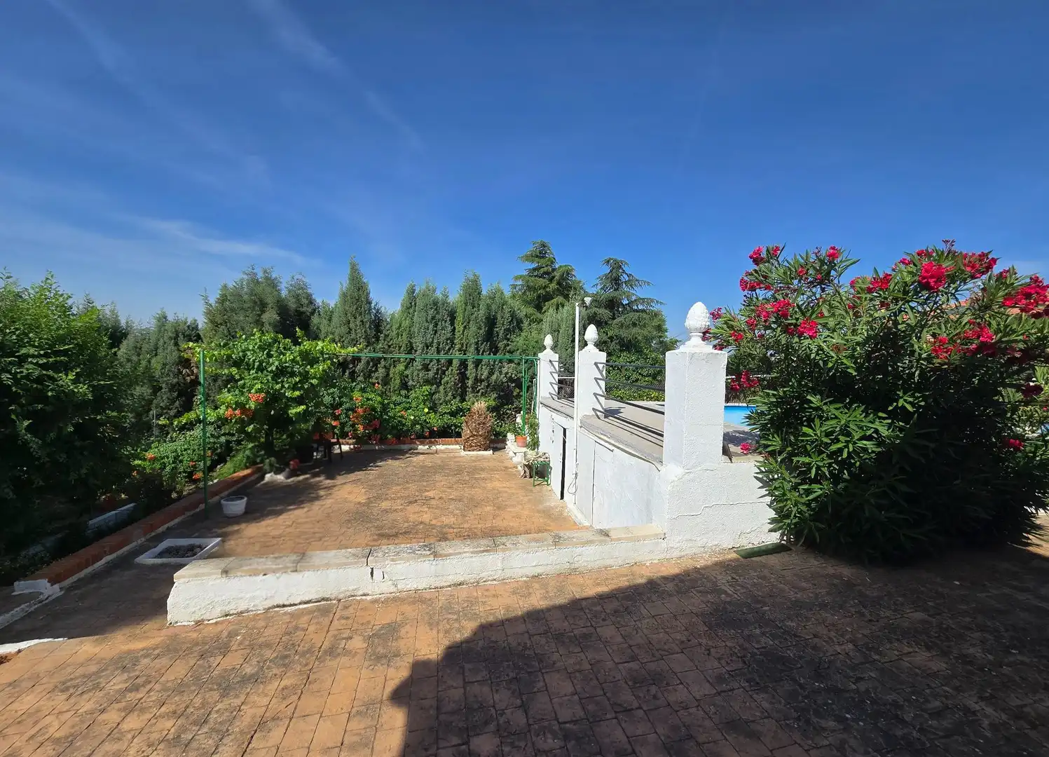 Jardín de Casa o chalet en venta en Cedillo del Condado