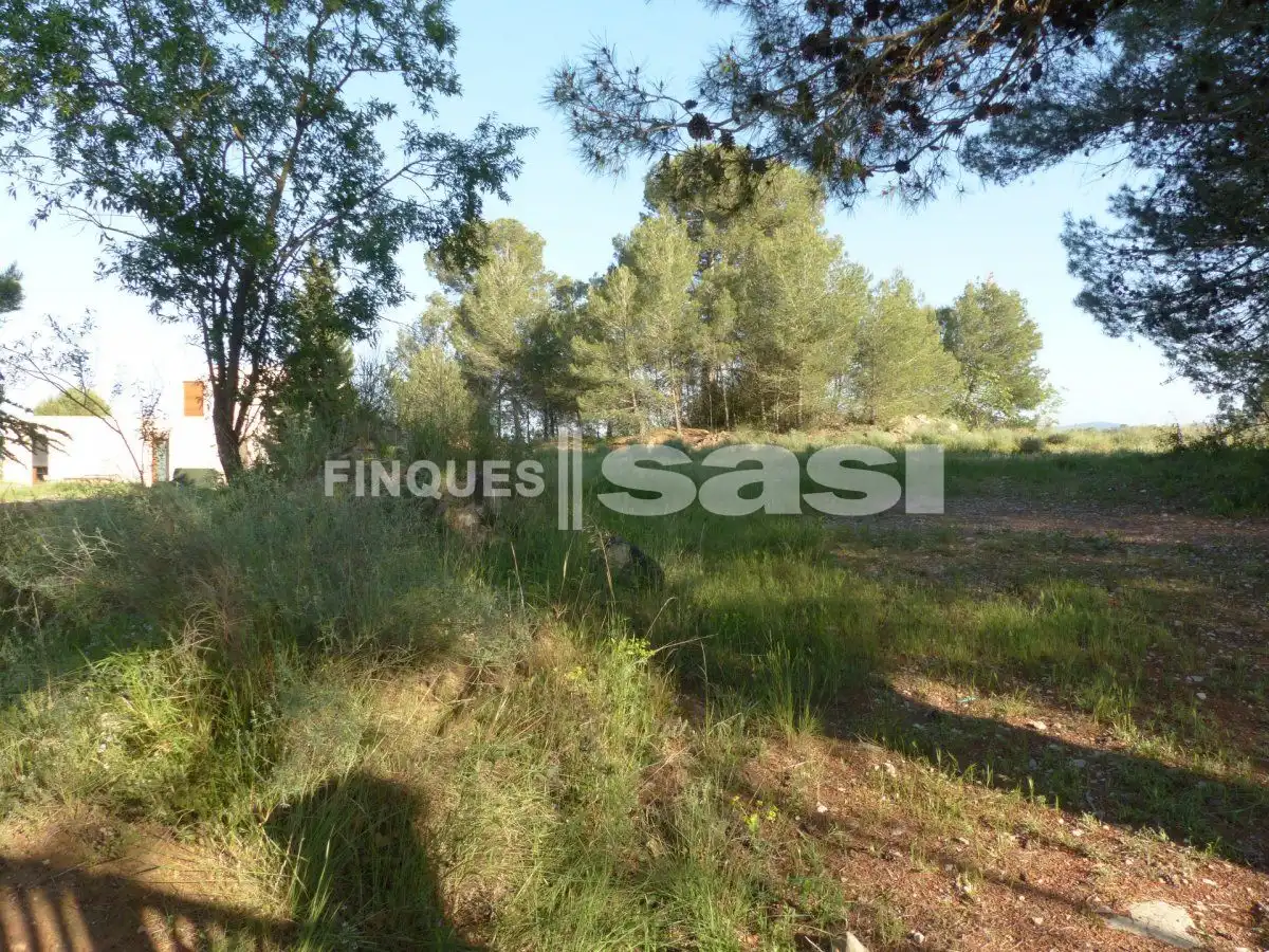 Residential land for sale in Sesoliveres - Pla de la Massa, imagen 2