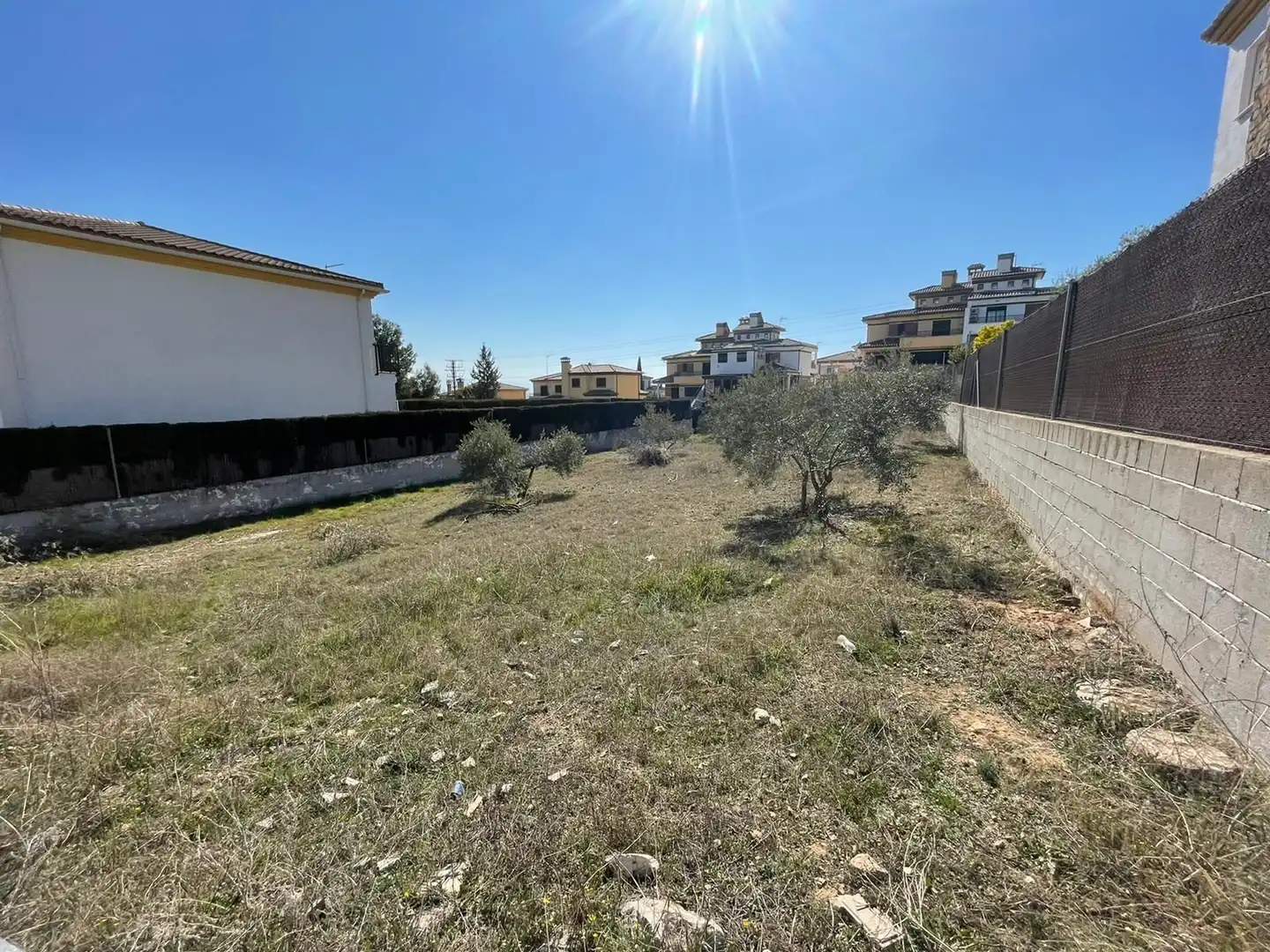 Terrenos y solares en venta en Centro de Albolote, imagen 5