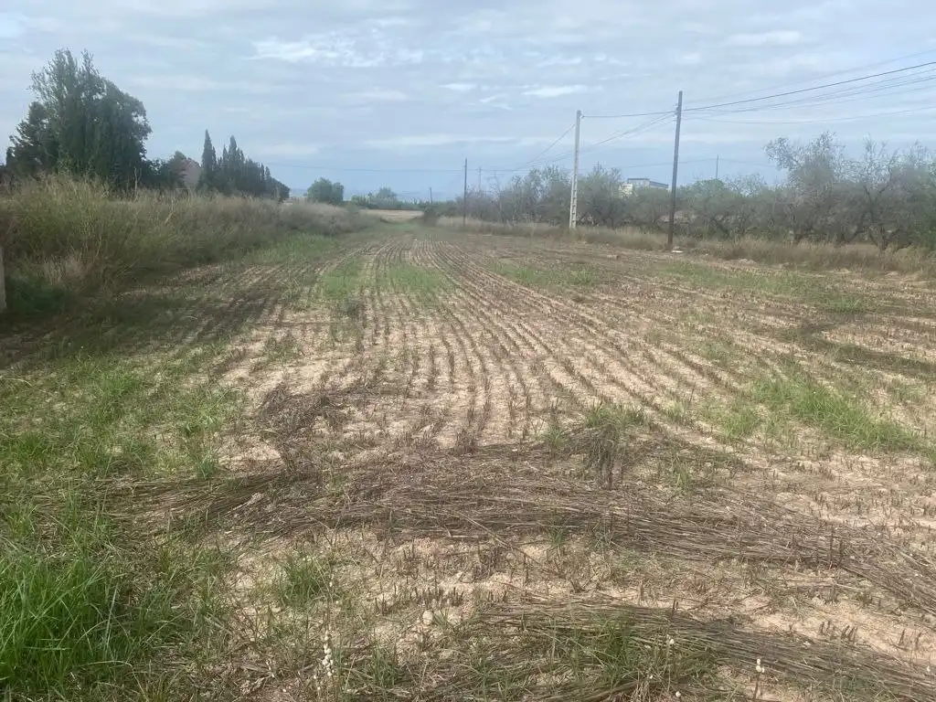 Terrain rustique à vendre à Santa Bárbara, imagen 6