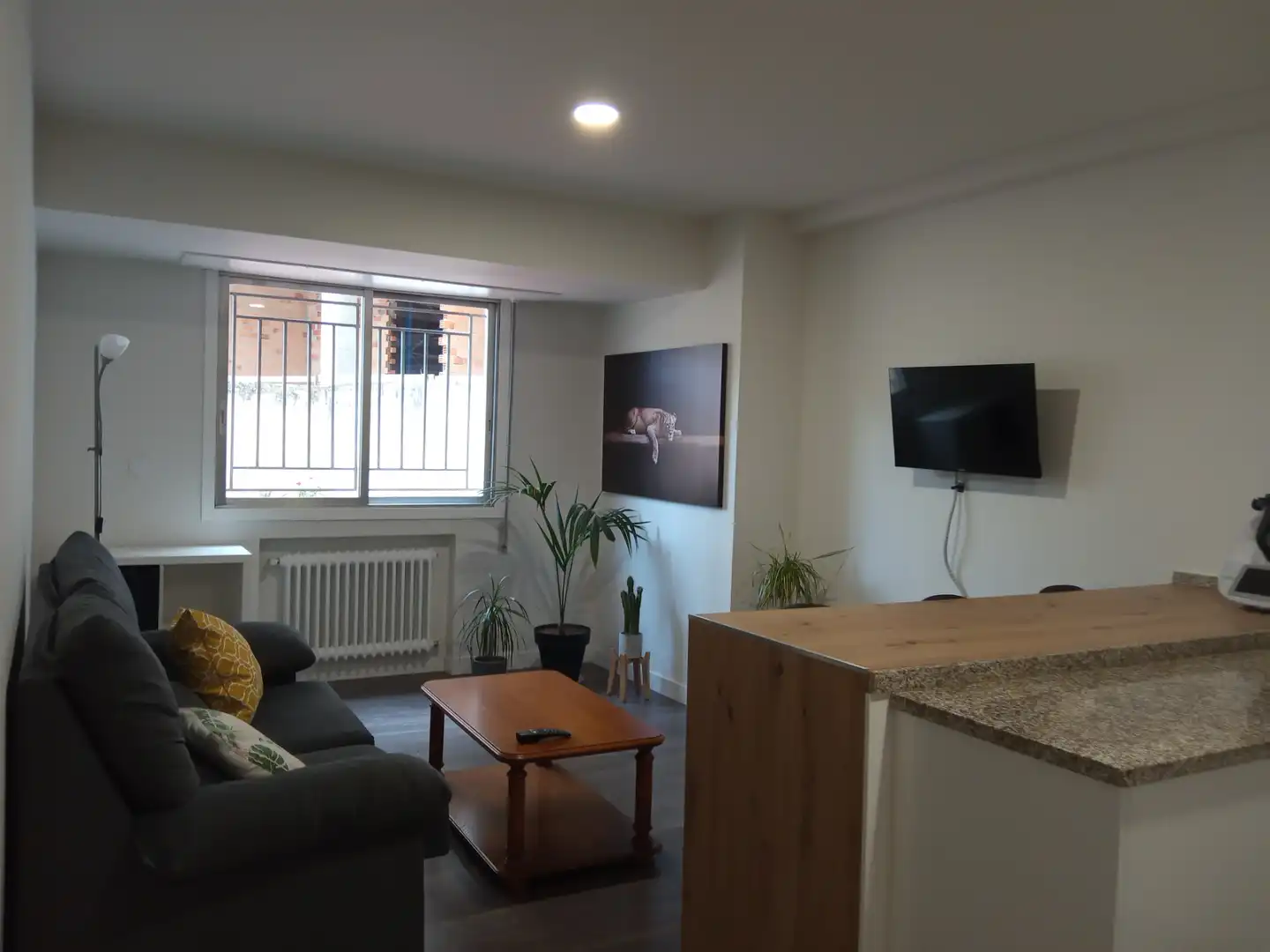 Living room of Flat for rent in Ourense Capital   with Heating, Terrace and Furnished