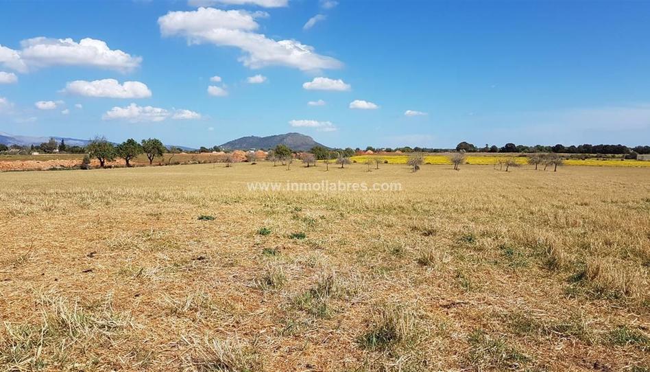 Foto 1 de Finca rústica en venda a Sencelles, Illes Balears