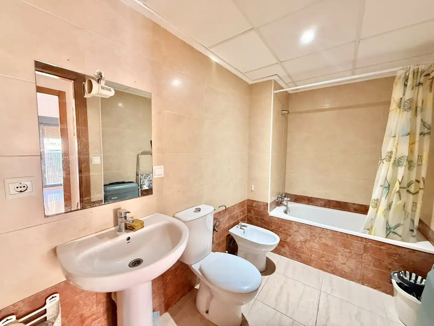Apartament amb ascensor de lloguer a Pla - Carolinas, imagen 5