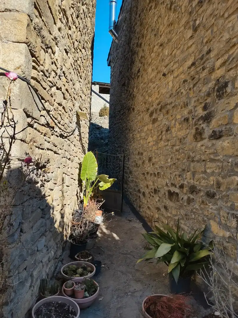 Vista exterior de Casa o chalet en venta en San Miguel del Cinca