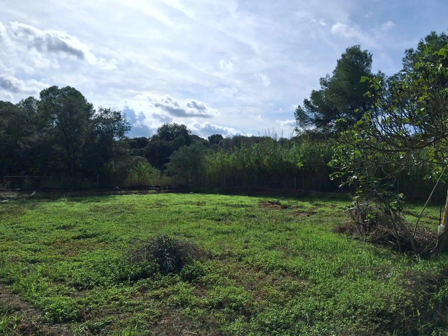 Rural land for sale in Ginestar, imagen 50