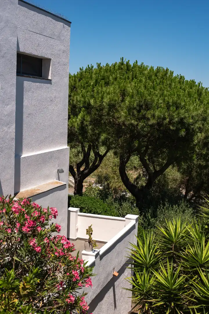Jardí de Casa o xalet en venda en L'Escala amb Aire condicionat, Calefacció i Jardí privat