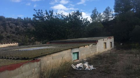 Foto 4 de Finca rústica en venta en Benifallet, Tarragona