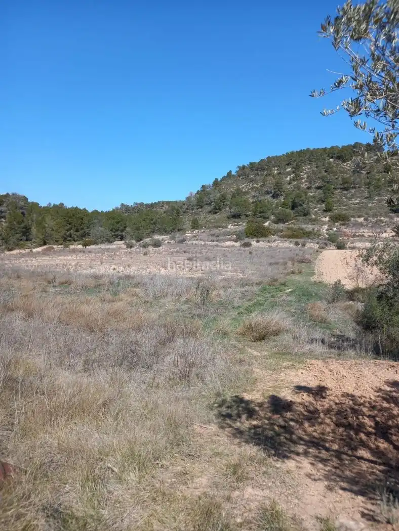 Rustikales Grundstück zum Verkauf in Carrer de l'Església 35, imagen 5