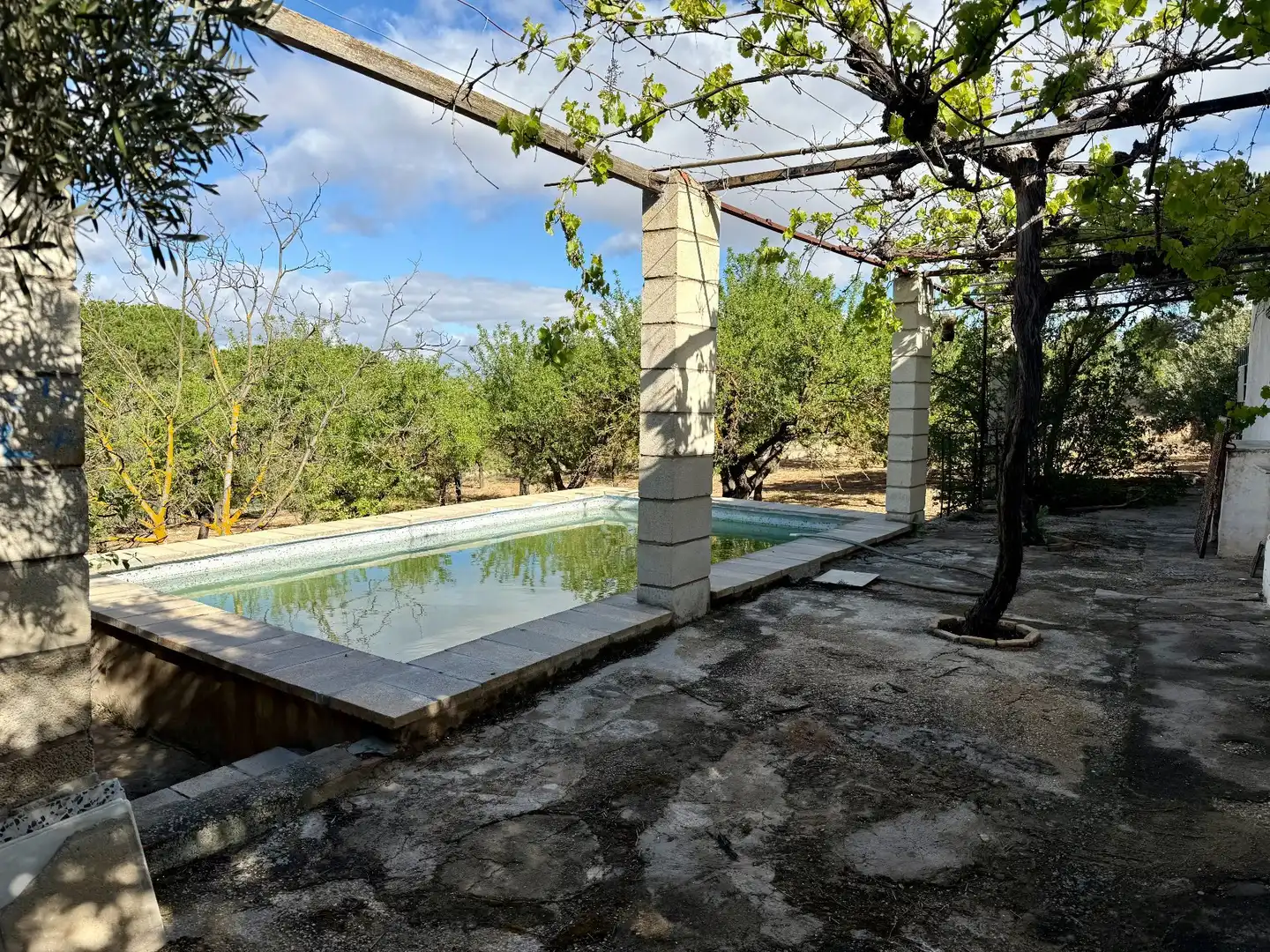 Schwimmbecken von Country house zum Verkauf in Biar mit Privatgarten, Abstellraum und Schwimmbad