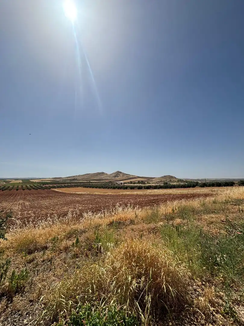 Casa o chalet en venta en Alcubillas
