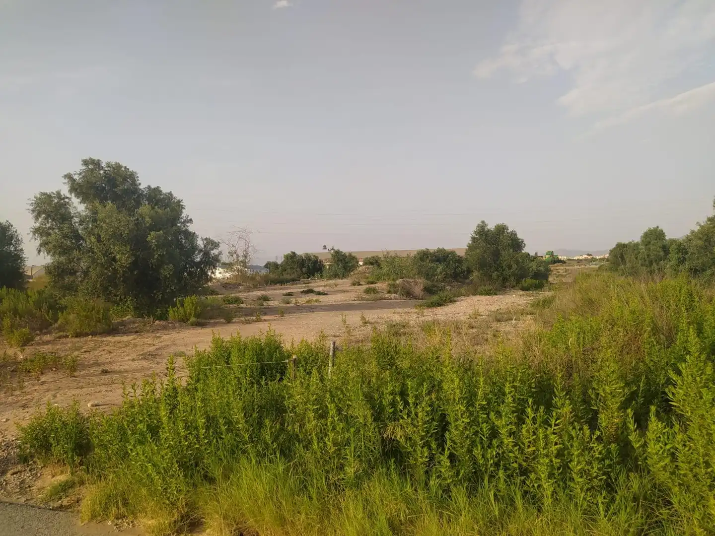 Terreny rústic en venda a Pedanías Oeste, imagen 3