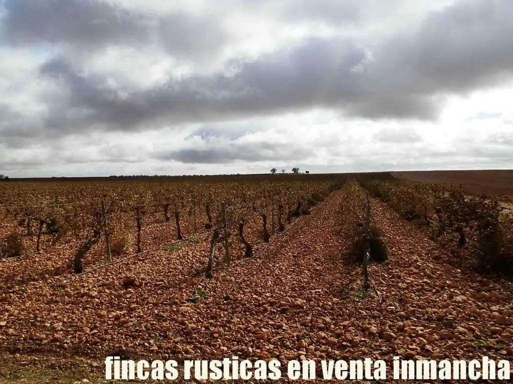 Terreno rústico en venta en Calle Socuéllamos 129, imagen 10