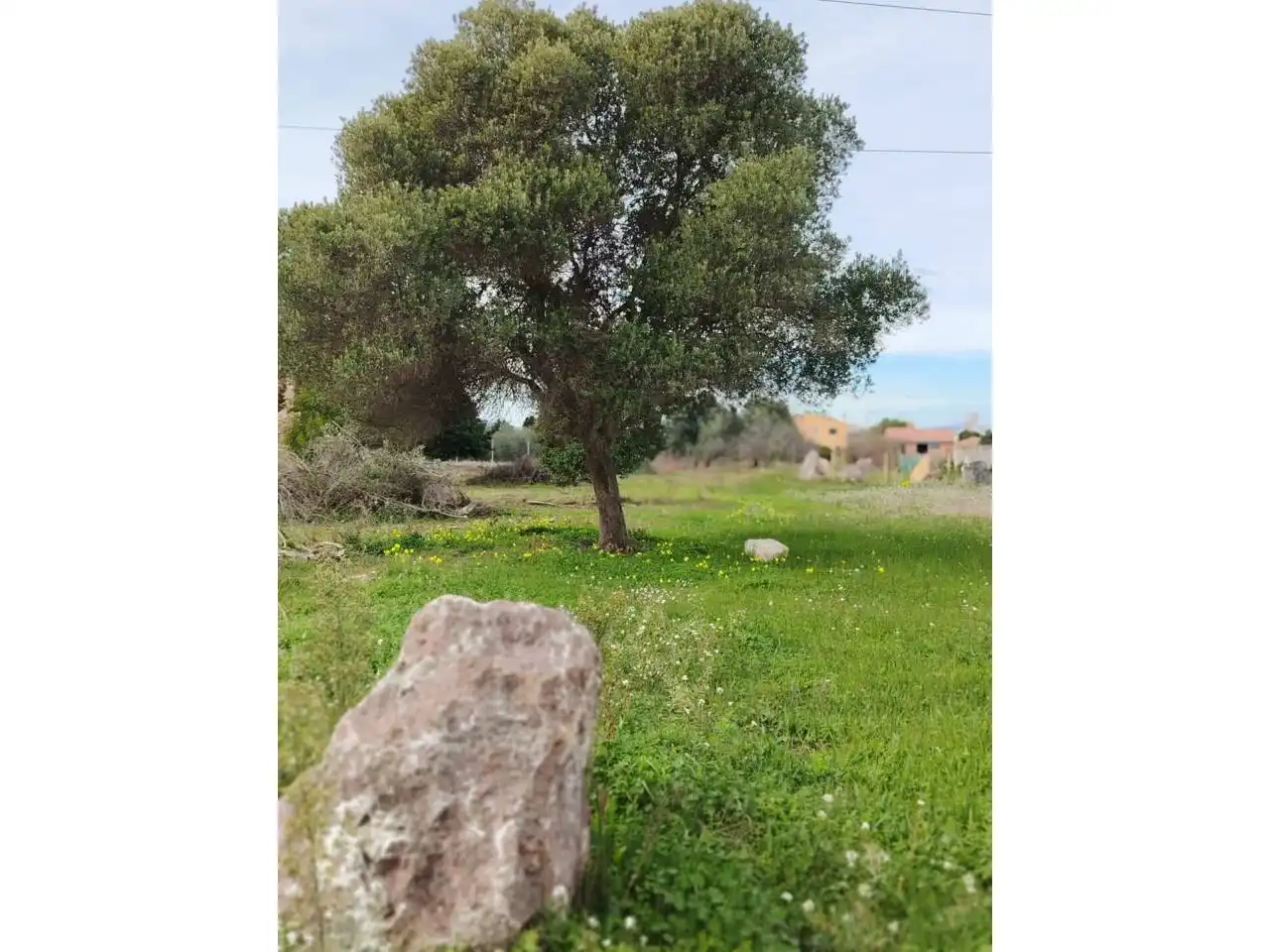 Terreny rústic en venda a Camino Donació, imagen 5