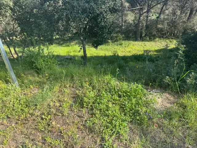 Terreno residencial en venta en Carrer l'Avet 456, imagen 8
