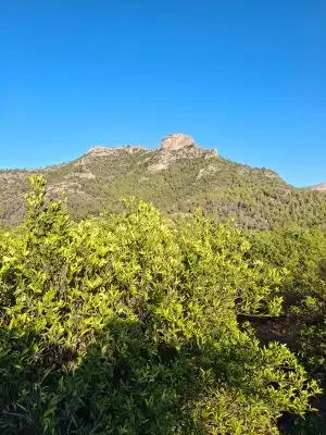 Terrain rustique à vendre à Terrenos MARXUQUERA  ALTA, imagen 25